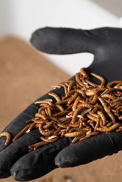 ConfianzaySeguridad1