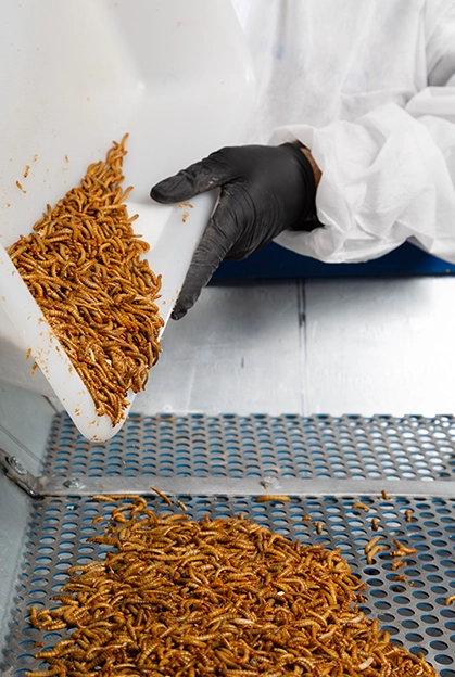 ConfianzaySeguridad2