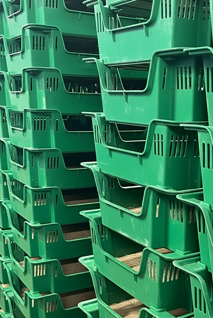 ConfianzaySeguridad5